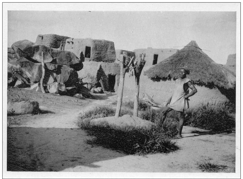 Photo 1949 90x65  AOF HAUTE VOLTA LE BUCHER - Non Classés