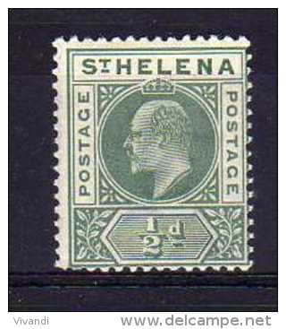 St Helena - 1902 - &frac12;d Definitive - MH - Sainte-Hélène