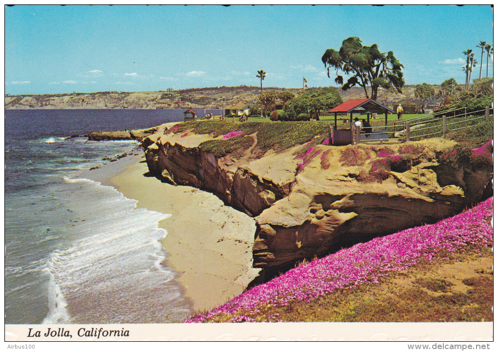 USA - La Jolla - Photo James Blank - Non Circulée - 2 Scans - - Autres & Non Classés