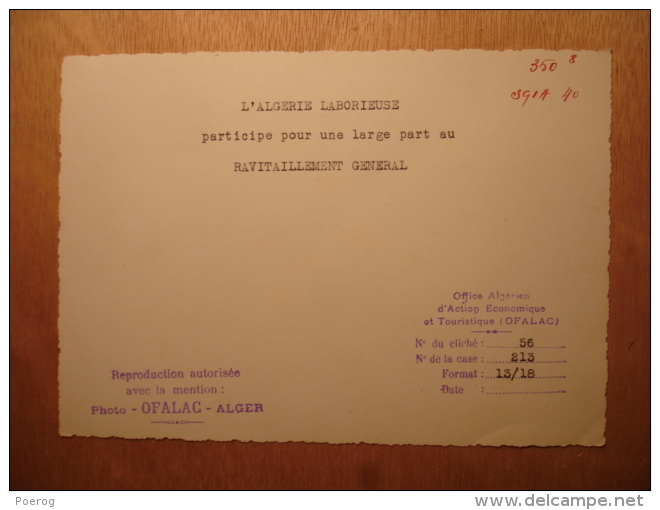 PHOTO 1940 - ALGERIE LABORIEUSE RAVITAILLEMENT GENERAL - PROPAGANDE OFALAC Tirage D'époque - 18X12 - Places