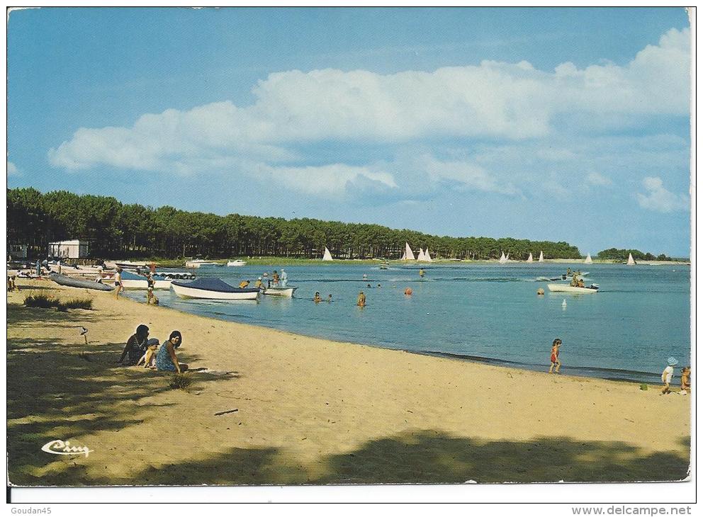 CARCANS (Gironde)    Etang De ... - Pointe De Coben  RARE - Carcans