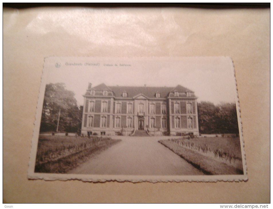 BC6-4-250 LC43  Grandmetz Chateau De Sablence - Leuze-en-Hainaut