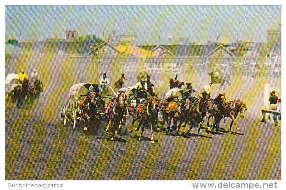 Canada Chuckwagon Races Calgary Stampede Calgary Alberta - Calgary