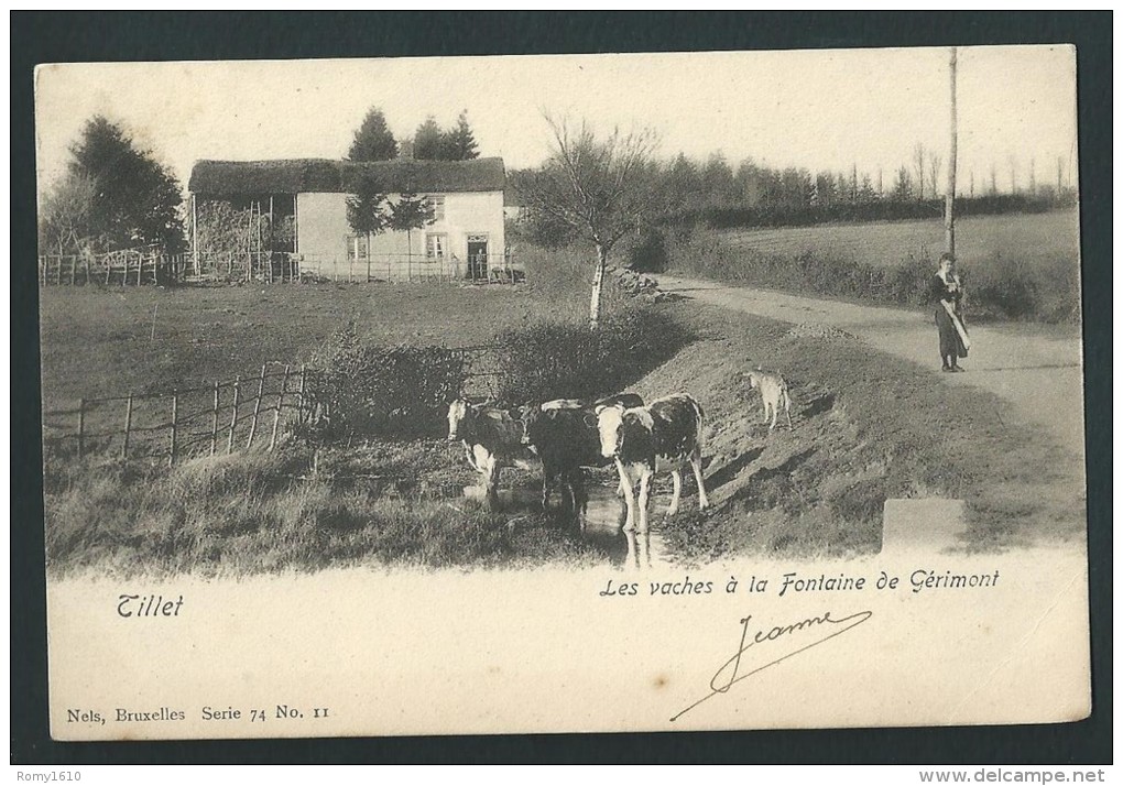 Tillet. Les Vaches à La Fontaine De Gérimont. Nels Série 74, N°11. Voyagée En 1907. - Sainte-Ode