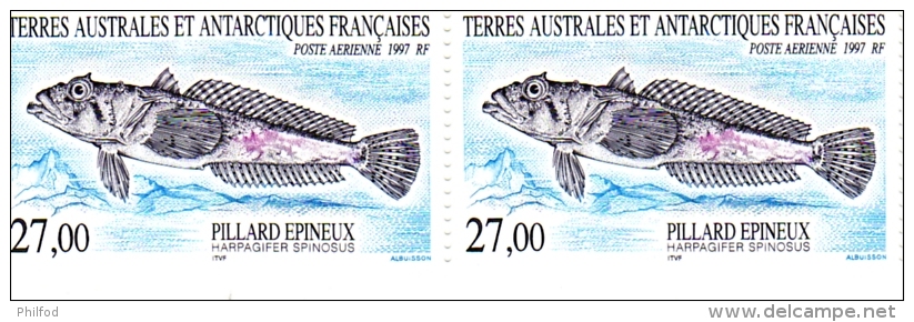 TERRES AUSTRALES Et ANTARCTIQUES  :   1997 -  Pillard épineux -  N°145 - Neufs