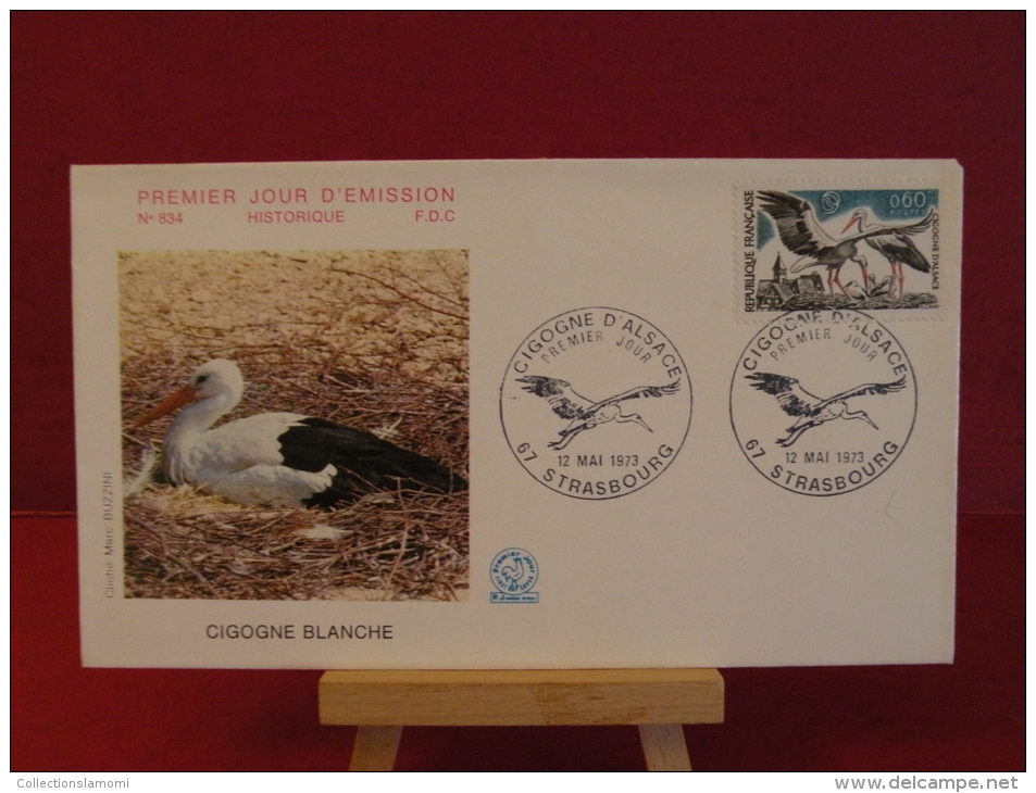 FDC, Cigogne D'Alsace - 67 Strasbourg -  12.5.1973 - 1er Jour - - 1970-1979