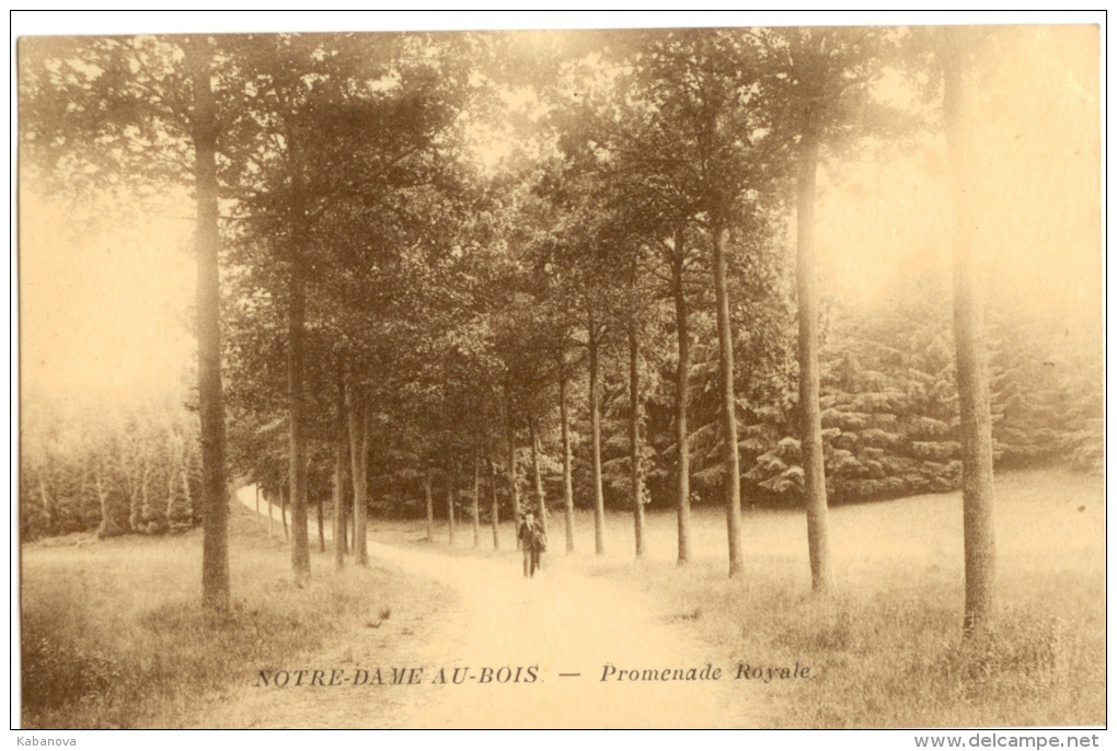 Jezus Eik Notre-Dame Au Bois Promenade Royale - Overijse