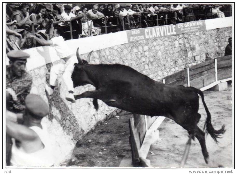 MOURIES (13) Photo George - Taureau JOFFRE Sur Le Raseteur PASCAL.  (62438) - Personnes Identifiées