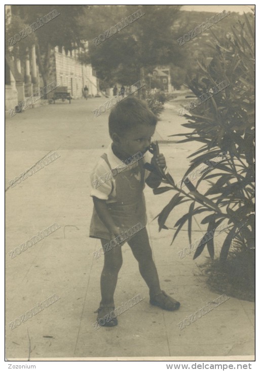 Little Boy Smells Flower, Petit Garçon Sent Fleur, Vintage Old Postcard - Autres & Non Classés