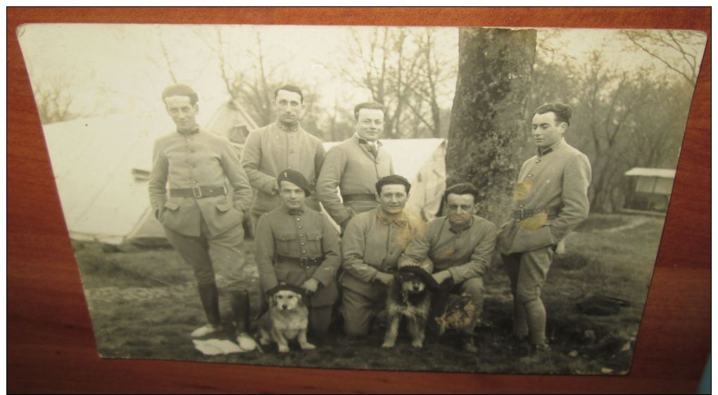 Carte Photo Originale 1920 Soldats Infanterie Alpine Avec Mascottes - 1914-18