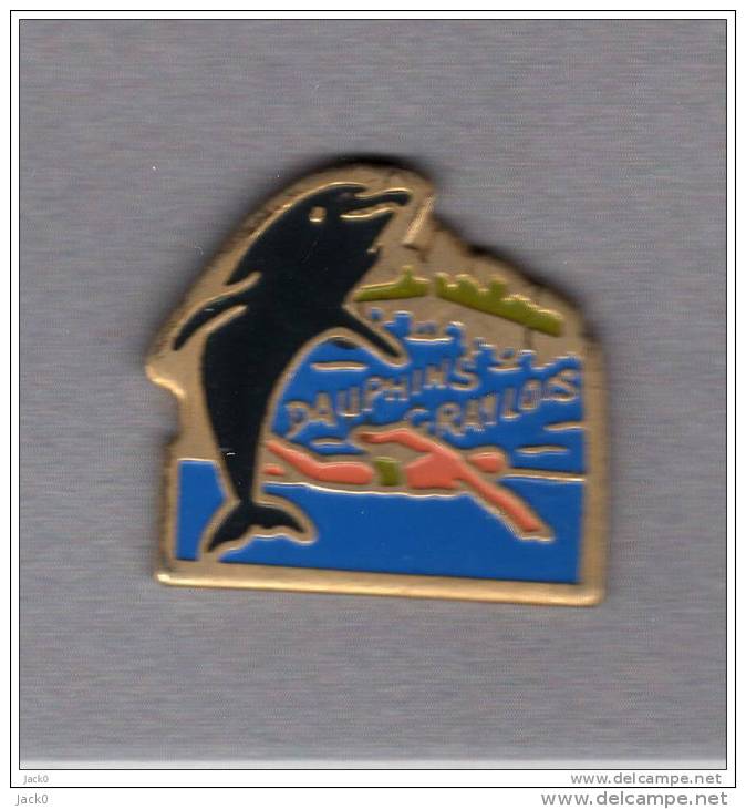 Pin´s  Sport  Natation,Animaux,  DAUPHIN  GRAYLOIS  Club  De  Natation  De  GRAY  ( 70 ) - Swimming