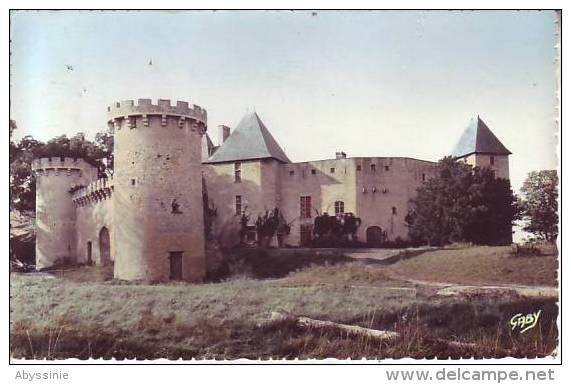 Cpsm 63 AIGUEPERSE - Le Château De LA ROCHE - D2 - Aigueperse