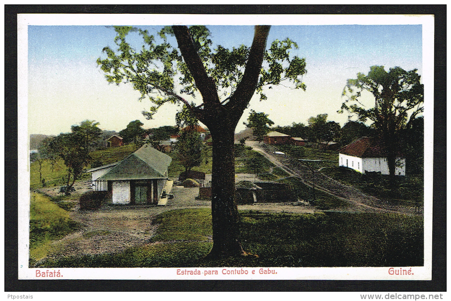 BAFATÁ GUINE GUINEA (Africa) - Estrada Para Contubo E Gabu - Guinea Bissau