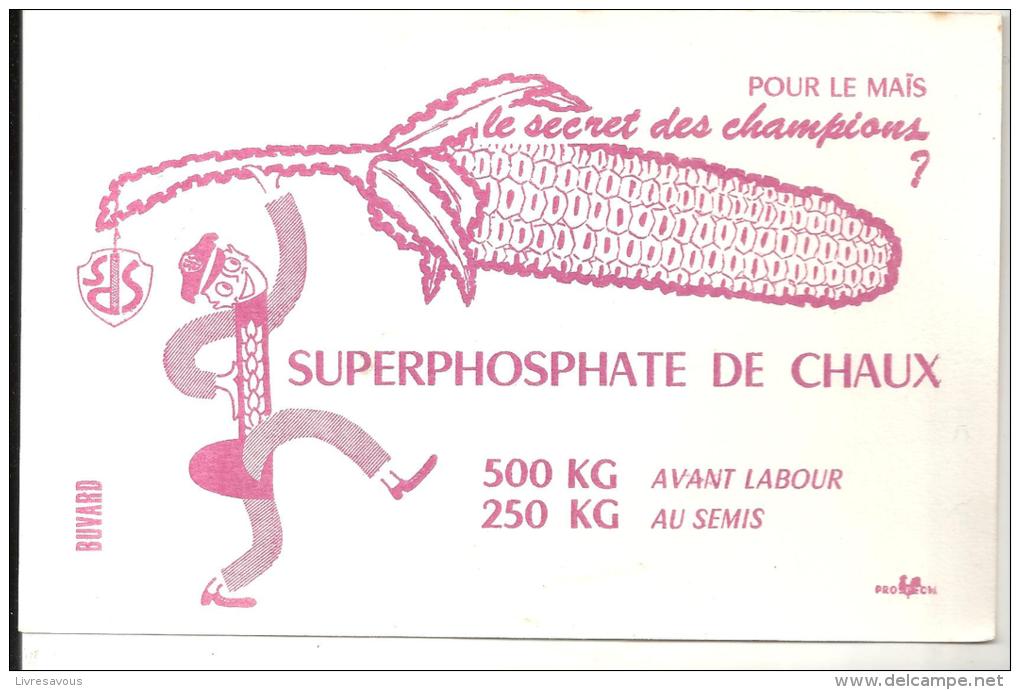 Buvard Agriculture Pour Les Maïs, Le Secret Des Champions Superphosphate De Chaux (SDS) - Agricultura