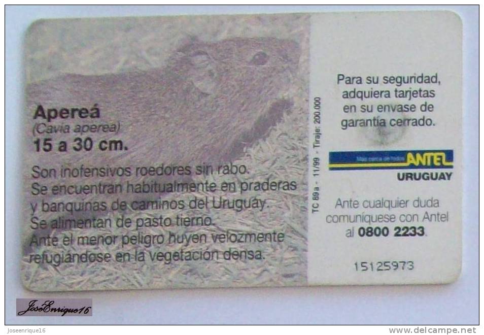 TC 89a CAVIA APEREA - URUGUAY ANTEL - Uruguay