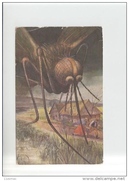 Unknown Insect, Mosquito ? Used Pc (zi405) Un Signed - Insetti