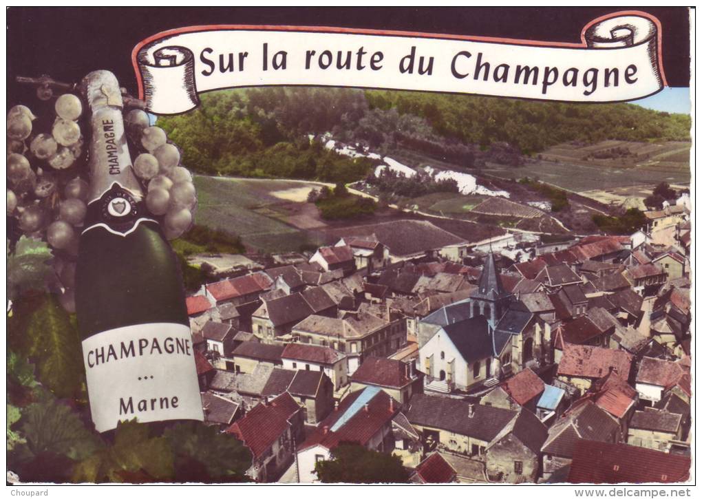 51-Carte Postale Semi Moderne  De  TREPAIL   Sur La Route Du Champagne   Vue Aérienne - Autres & Non Classés