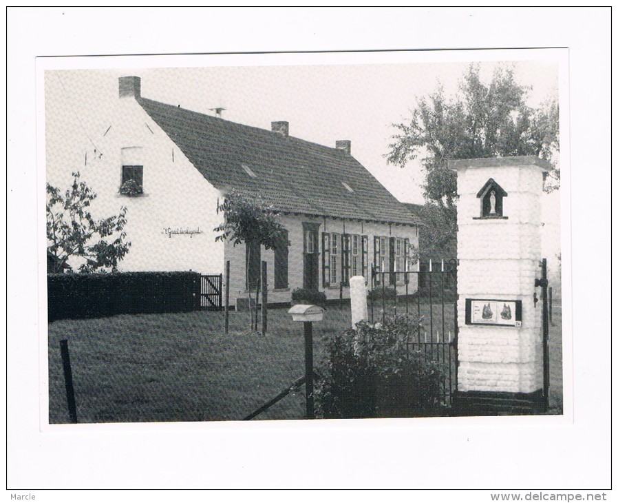 Beernem Hoeve 't Groot Kerkegoed - Beernem