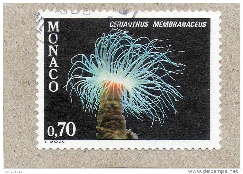 MONACO : Faune De La Méditerranée : Cerianthus Membranaceus (Grand Cérianthe) - Anémones De Mer - Cnidaires Anthozoaires - Oblitérés