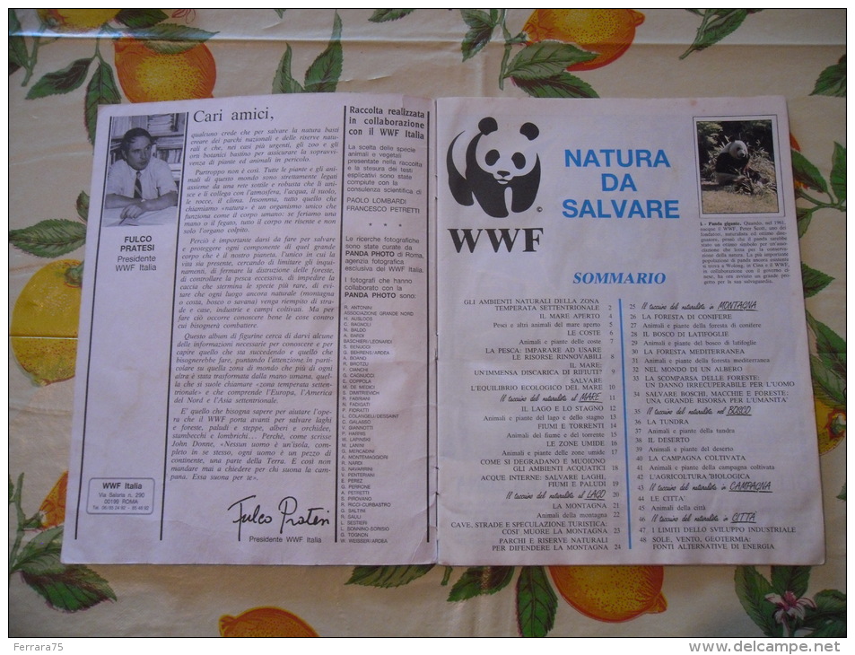 ALBUM FIGURINE PANINI WWF NATURA DA SALVARE - Edizione Italiana