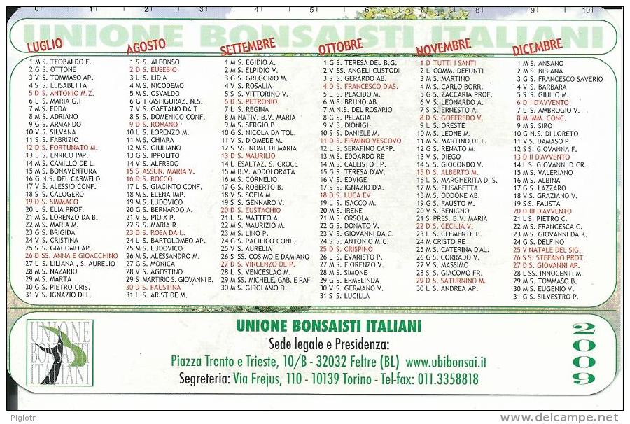 CAL538 - CALENDARIETTO 1999 - UNIONE BONSAISTI ITALIANI - Formato Piccolo : 1991-00
