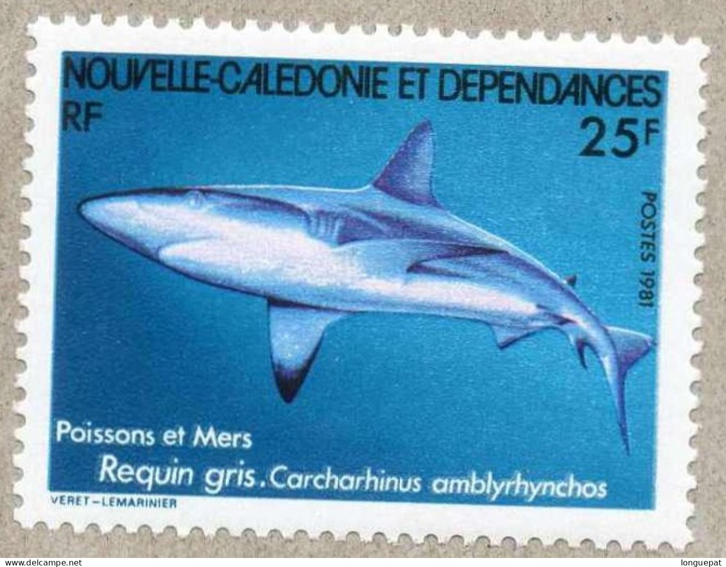 Nelle CALEDONIE : Poissons : Carcharhinus Amblyrhynchos (Requin Gris De Récif, Requin Dagsit, Etc) - Squale - - Nuevos