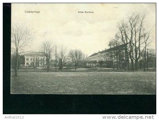 Litho Lippspringe Altes Kurhaus Bäume Sw 24.8.1908 Nach Brelingen - Bad Lippspringe