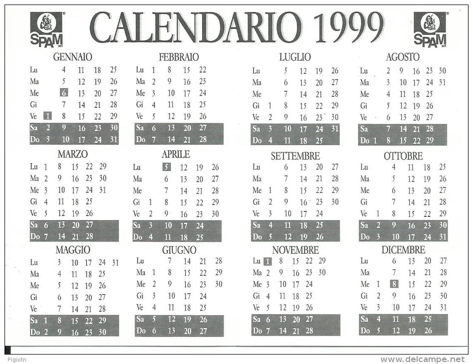 CAL575 - CALENDARIETTO 1999 - AERONAUTICA MILITARE - Formato Piccolo : 1991-00