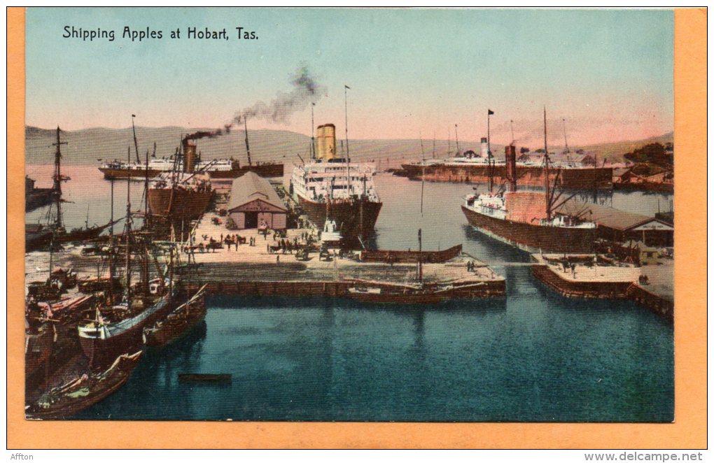 Shipping Apples At Hobart Tasmania 1910 Postcard - Hobart