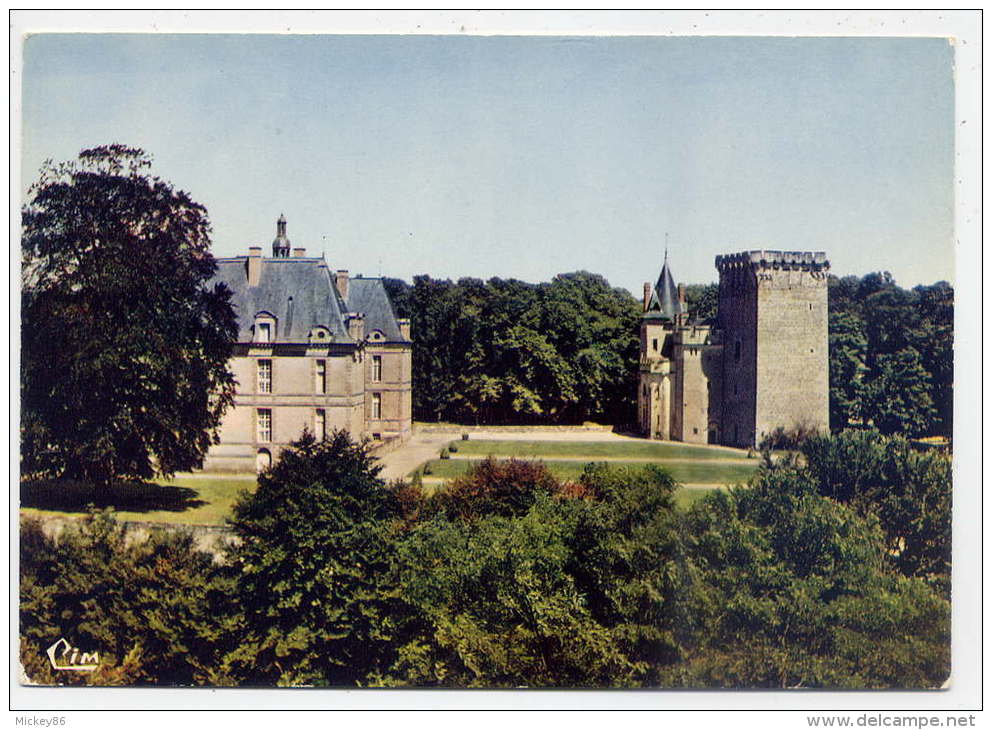 Saint LOUP SUR THOUET--Le Chateau  ,cpsm 10 X 15  N° 205  éd Combier---pas Très Courante - Saint Loup Lamaire