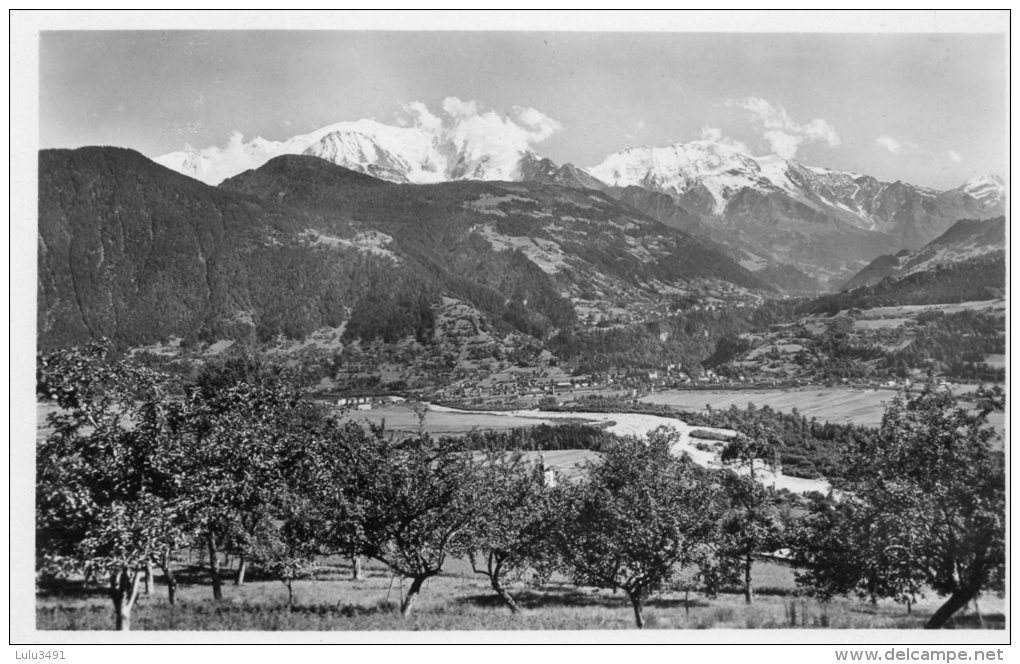 CPSM - Le FAYET (74)  - Les Vergers à Flanc De Coteau , Le Mt Blanc Et Le Dôme De Miage - Vacheresse