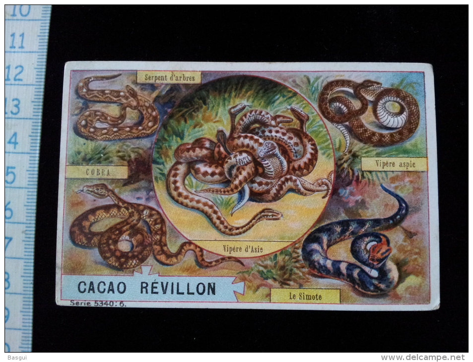 Chromo Chocolat Revillon Serpents - Revillon