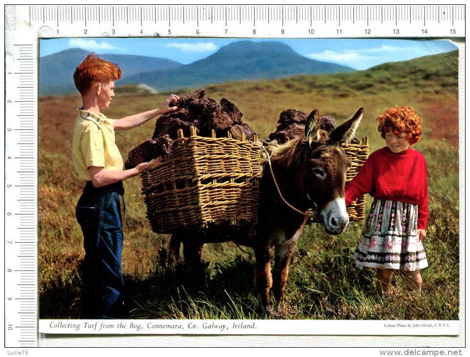 IRELAND -   GALWAY -  Collecting Turf From The Bog - Connemara  -   ENFANTS  Et  ANE Chargé 2/26 - Galway