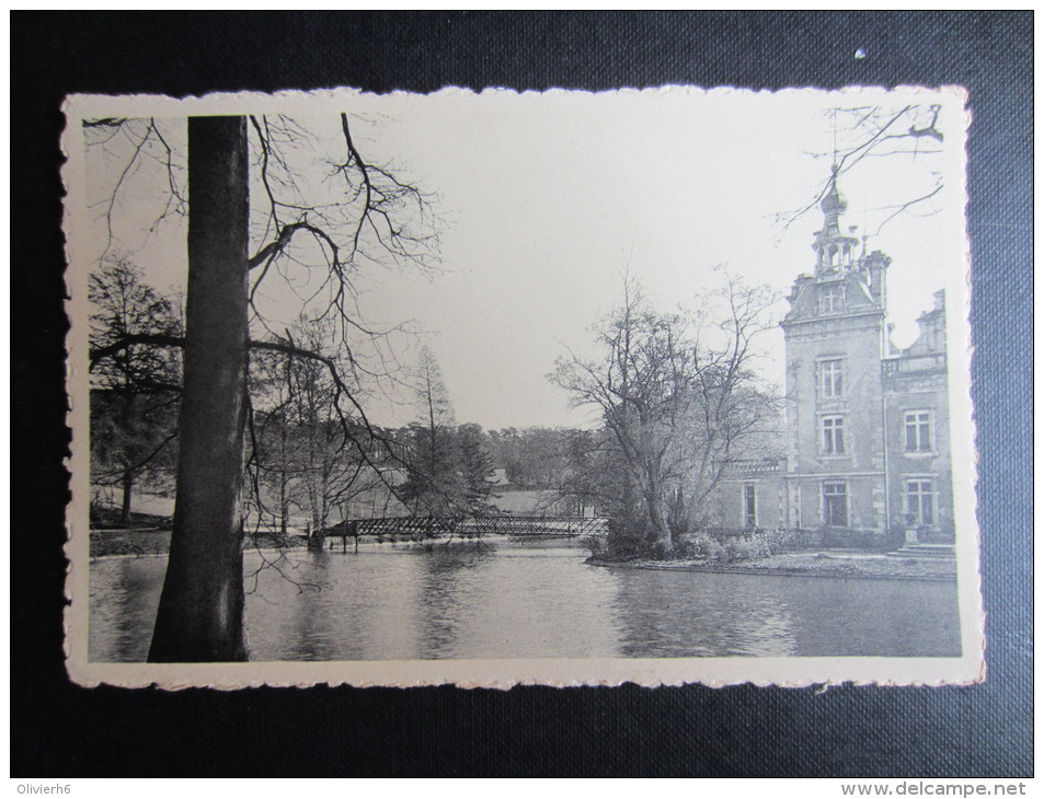 CP BELGIQUE (M53) HUIZINGEN (2 Vues) Domaine Provinciall à Huizingen Kasteel En Achterbrug Château Et Passerelle - Beersel