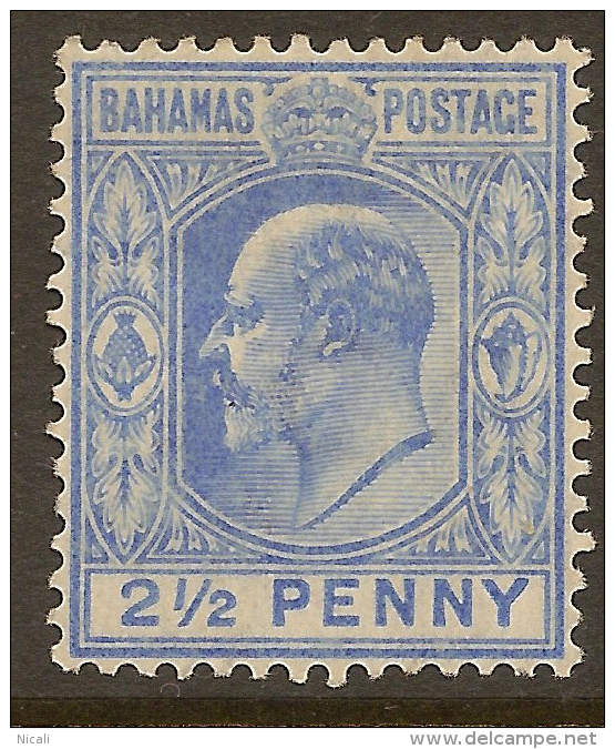 BAHAMAS 1906 2 1/2d Ultra KEVII SG 73 HM ZT38 - Autres & Non Classés