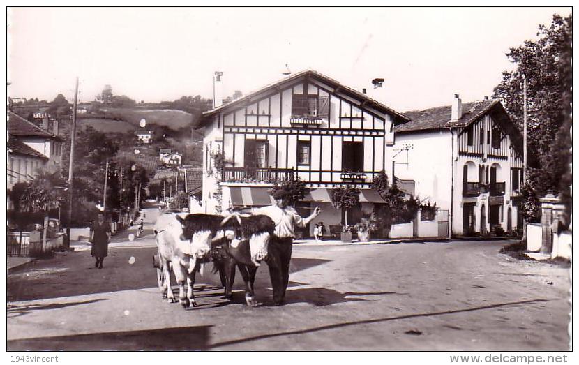 C 9442  HASPARREN - Route De Bayonne - Animée - - Hasparren