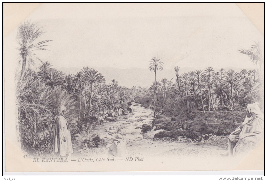 Algérie - El Kantara - L'Oasis, Côté Sud. ND Photo  -  Environs 1900 - Scènes & Types