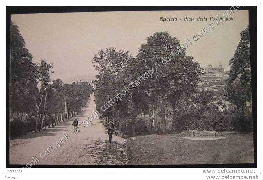 ^ SPOLETO PERUGIA VIALE Della PASSEGGIATA  C5 - Perugia