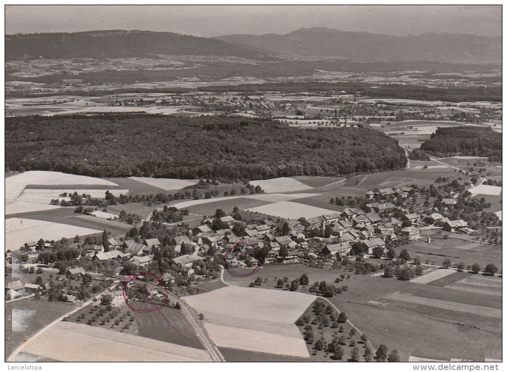 APPLES / VUE AERIENNE - Apples