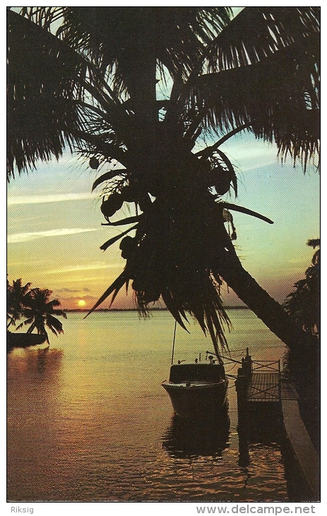 The Sunny Carribean  - Tropical Carribean Sunset.      A-3031 - Other & Unclassified