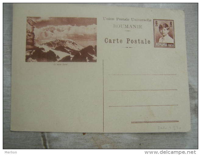 Romania - Postcard - Le Mont Surul Ca 1930    D112404 - Romania