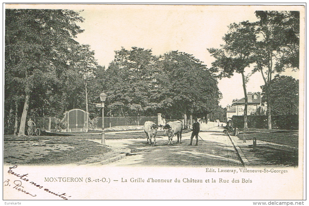 ESSONNE 91.MONTGERON LA GRILLE D HONNEUR DU CHATEAU ET LA RUE DES BOIS - Montgeron