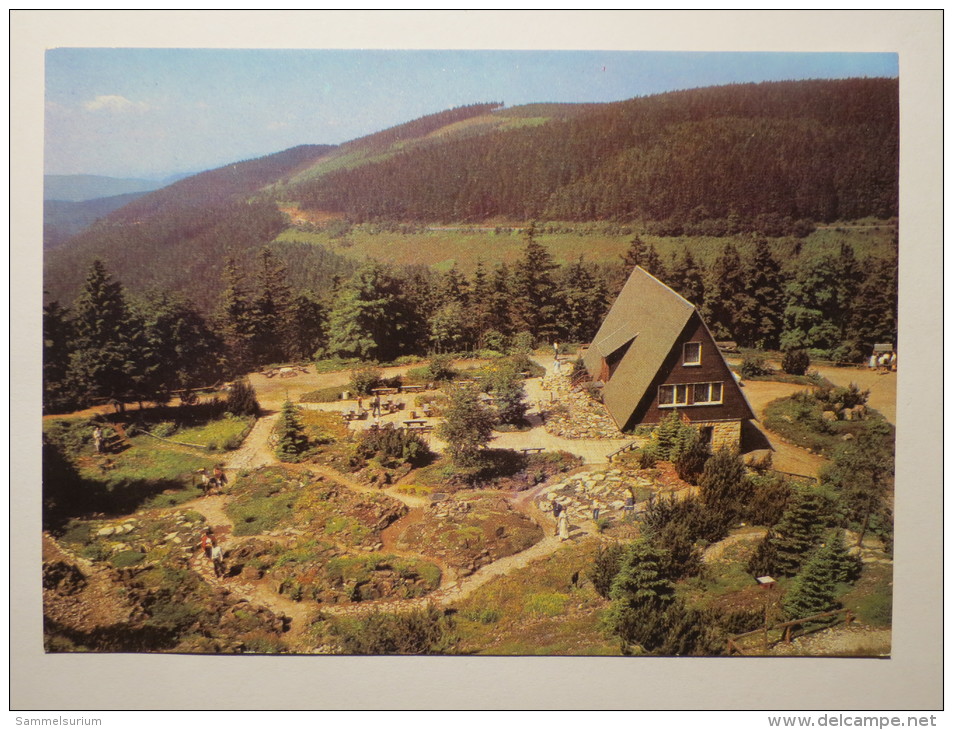 (3/7/68) AK "Oberhof" Kulturbund Der DDR, Rennsteiggarten - Oberhof