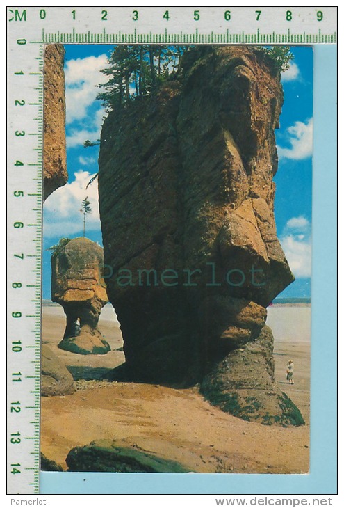 Hopewell N.B.   Canada ( The Sentinels And The Caves At Hopewell Cape ) Carte Postale Post Card - Other & Unclassified