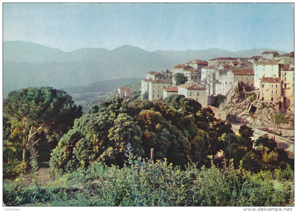 CORSE DU SUD,CORSICA,SARTENE,PRES PROPRIANO,LA PLUS CORSE DES VILLES CORSE SELON PROSPER MERIMEE,RIZZANESE - Sartene