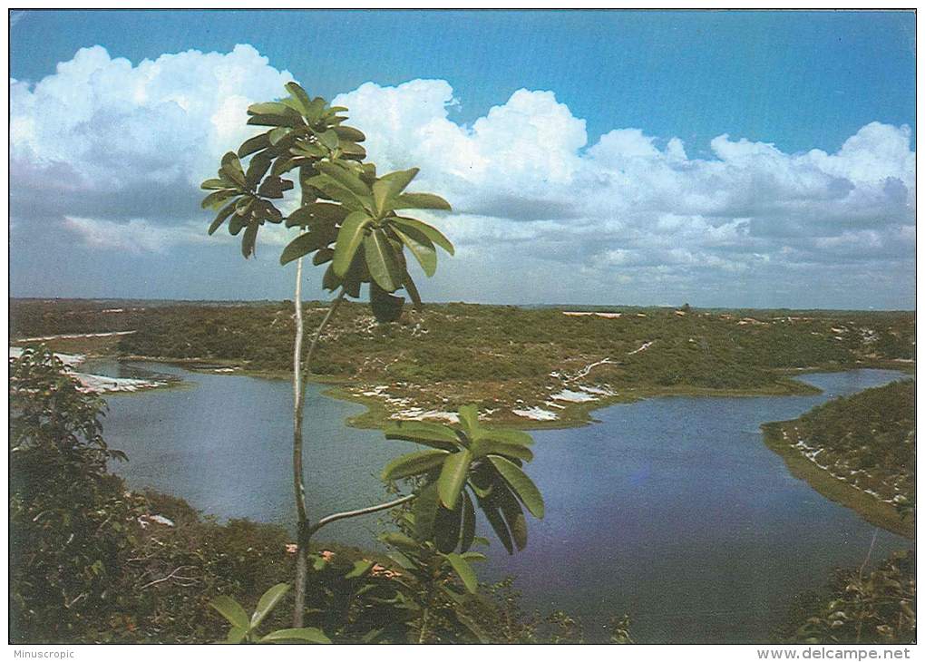 CPM Brésil - Salvador - Lagoa Do Abaeté - Salvador De Bahia