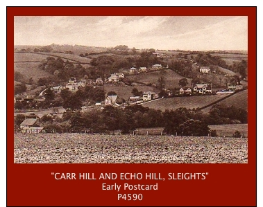 P4590  “CARR HILL AND ECHO HILL, SLEIGHTS”  (1910’s. B/w Matt Real Photo Postcard) - Other & Unclassified