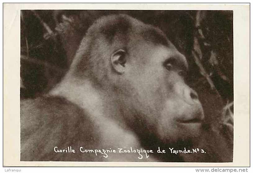 Cameroun - Ref 285- Compagnie Zoologique De Yaoundé - Zoo -singe -theme Singes -gorille - - Cameroun