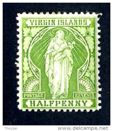 6067-x  Virgin Is.1899  SG #43 ~Sc #21  M*  Offers Welcome! - British Virgin Islands