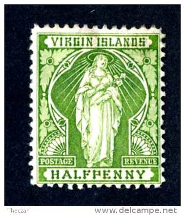 6068-x  Virgin Is.1899  SG #43 ~Sc #21  M*  Offers Welcome! - Britse Maagdeneilanden